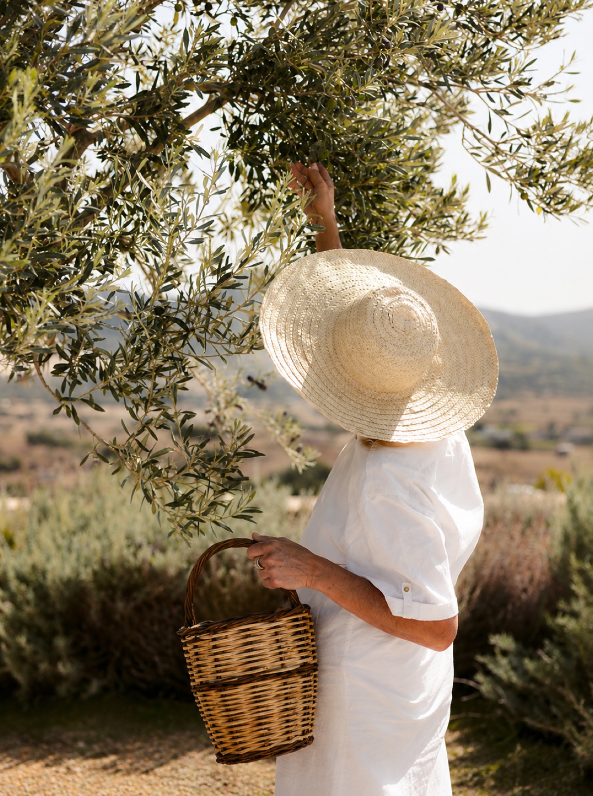 Gamme de soins OLIV' — Beauté de Provence